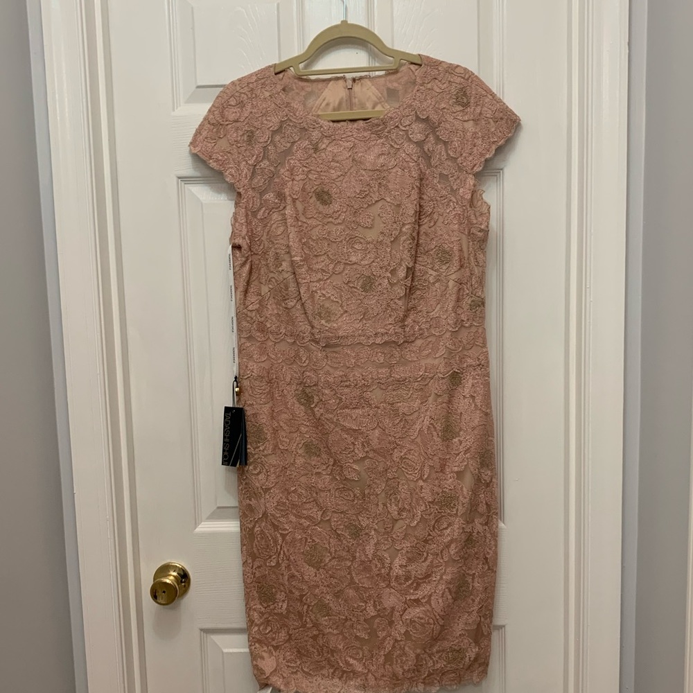 Tadashi Shoji - Dusty Rose Cocktail Dress - NWT